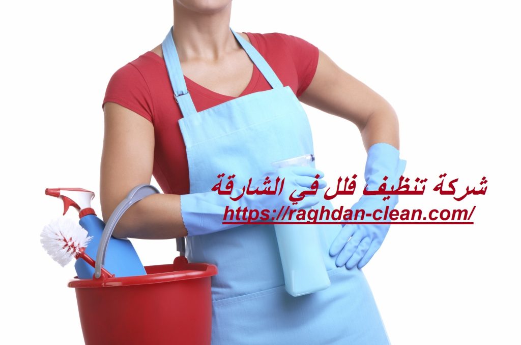 شركة تنظيف فلل في الشارقة